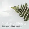 Rachel Mind - Nature Sleep - 2 Hours of Relaxation